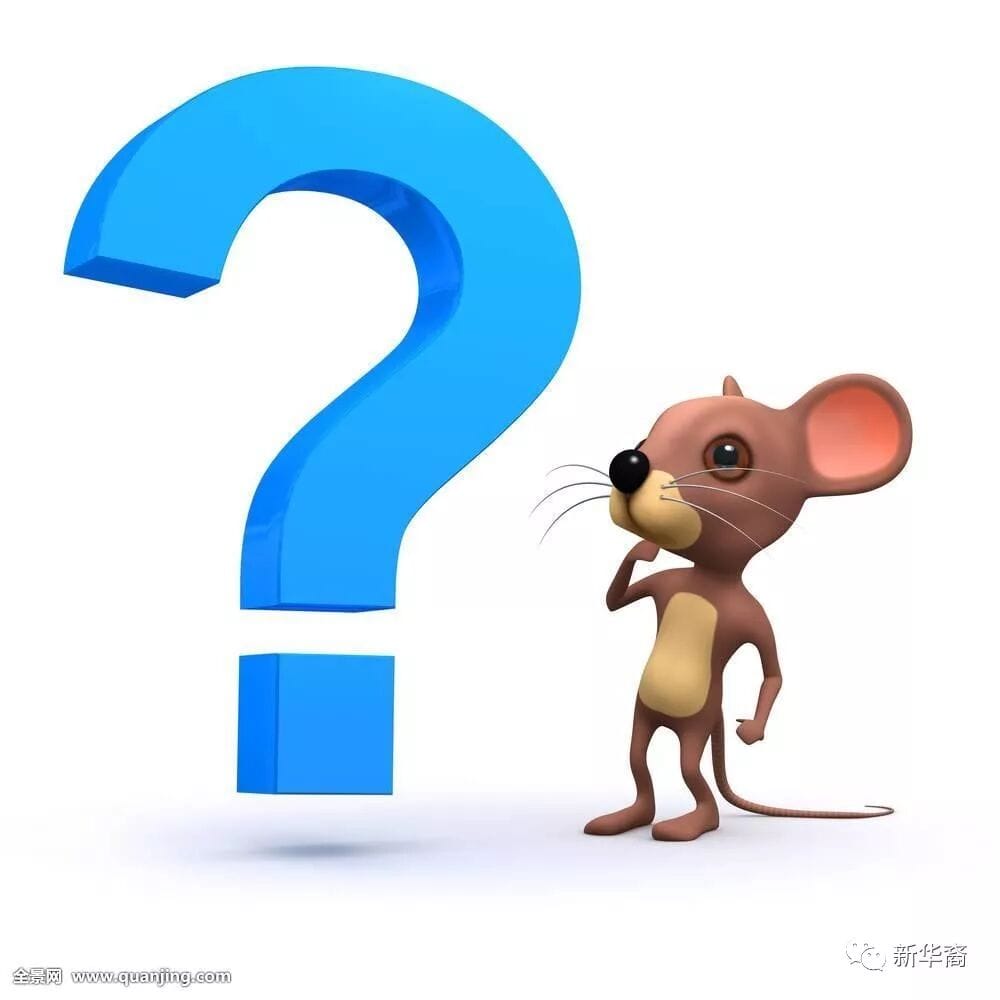 新闻惊曝：一只老鼠何以掀翻武汉三镇？