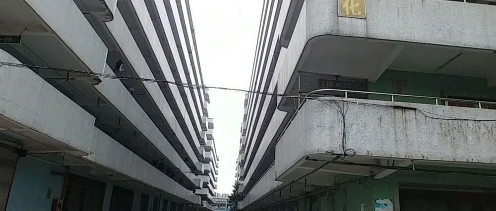 外部环境持续恶化导致外贸出口持续暴跌