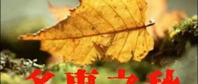 世界进入多事之秋，基辛格生前曾说像极一战前夕