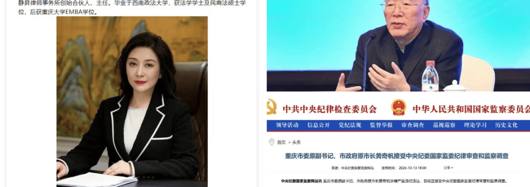 游走于重庆资本重组中的两个“白手套”